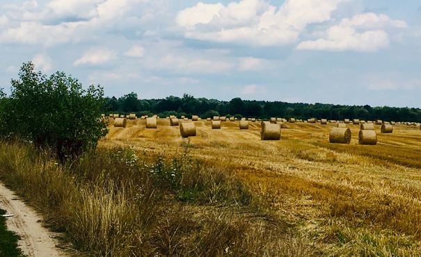 Droga fot. Roczynska