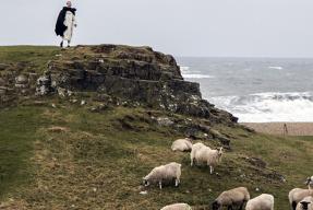 Pasterz fot. Lawrence OP