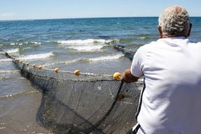Sieć fot. Christian Ostrosky